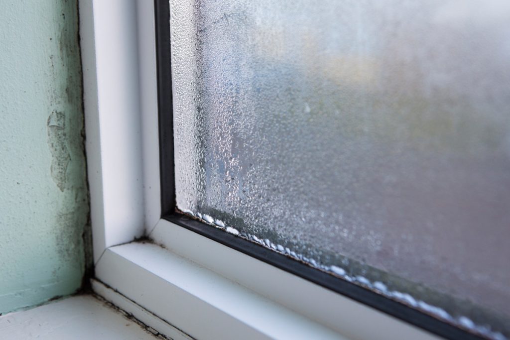 When to consider window replacements and upgrades 