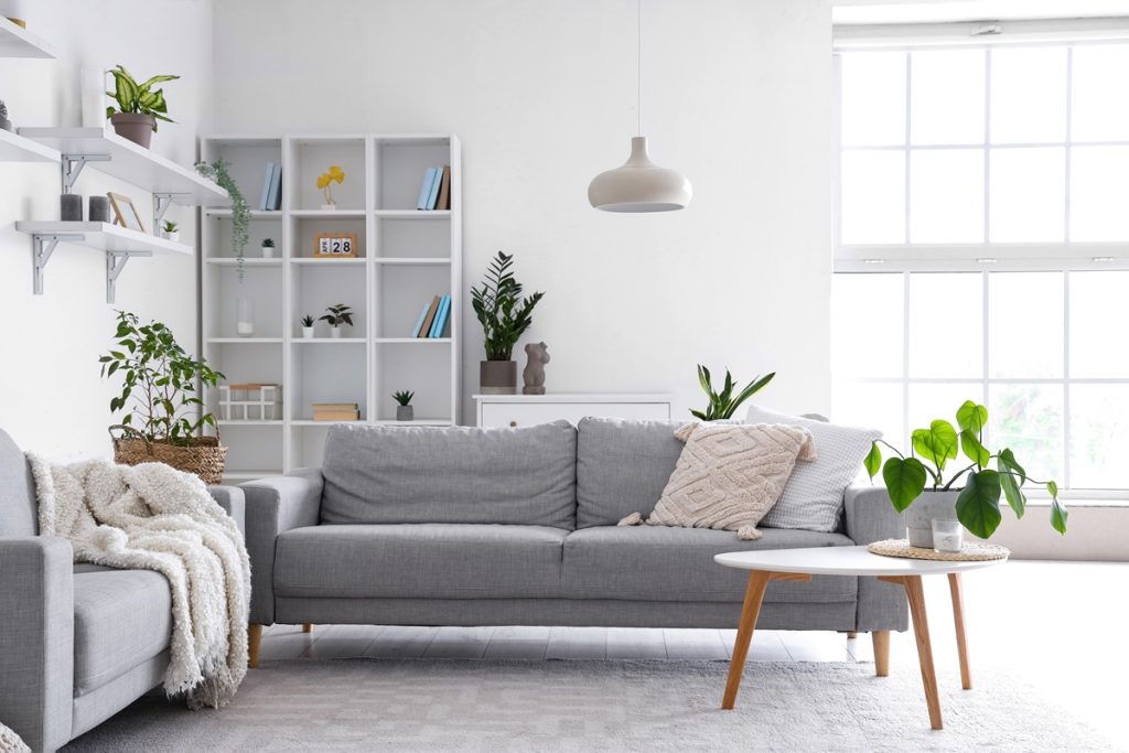 Why natural light matters in your living room