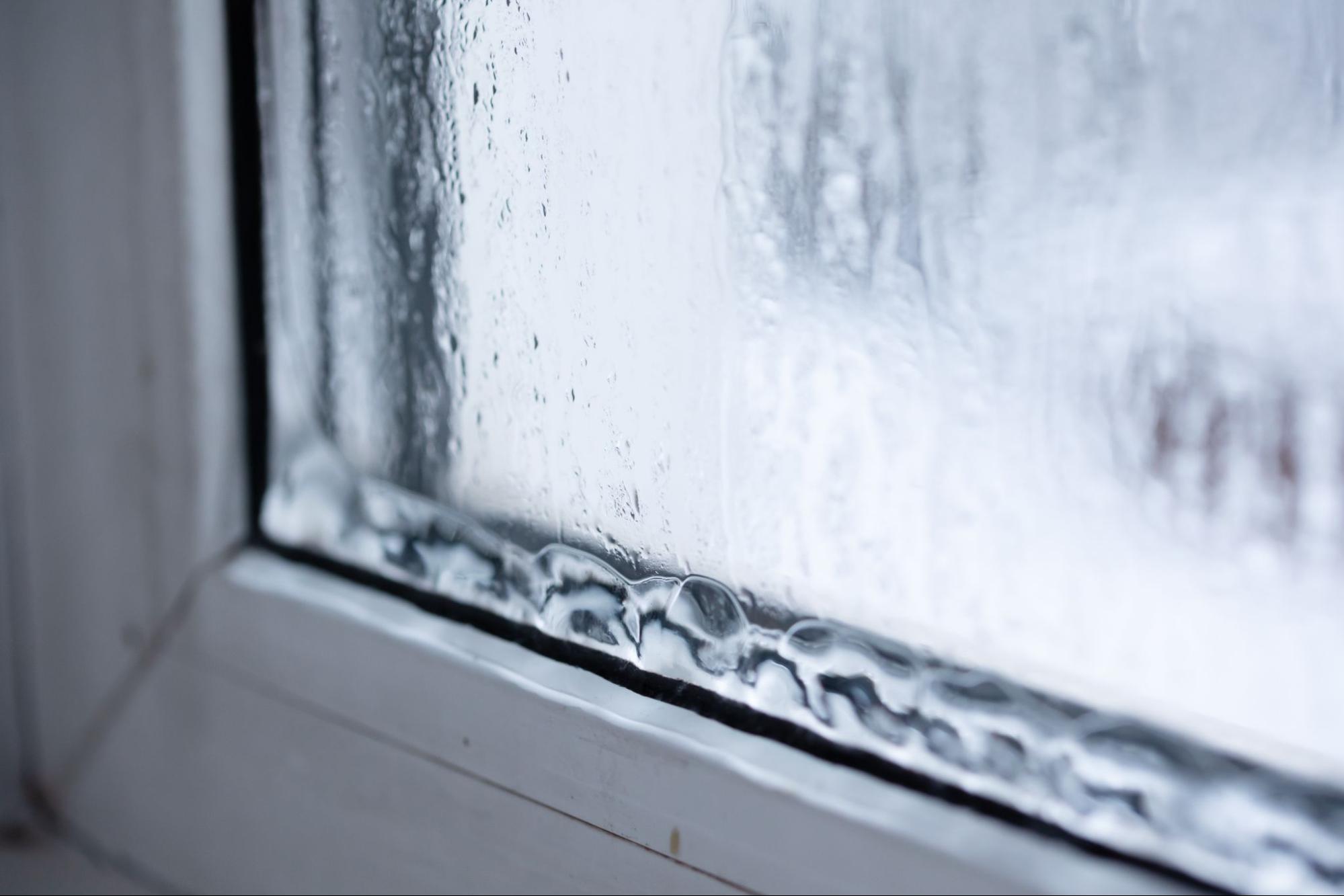 Here is Why You Have Leaking Windows During Heavy Rain