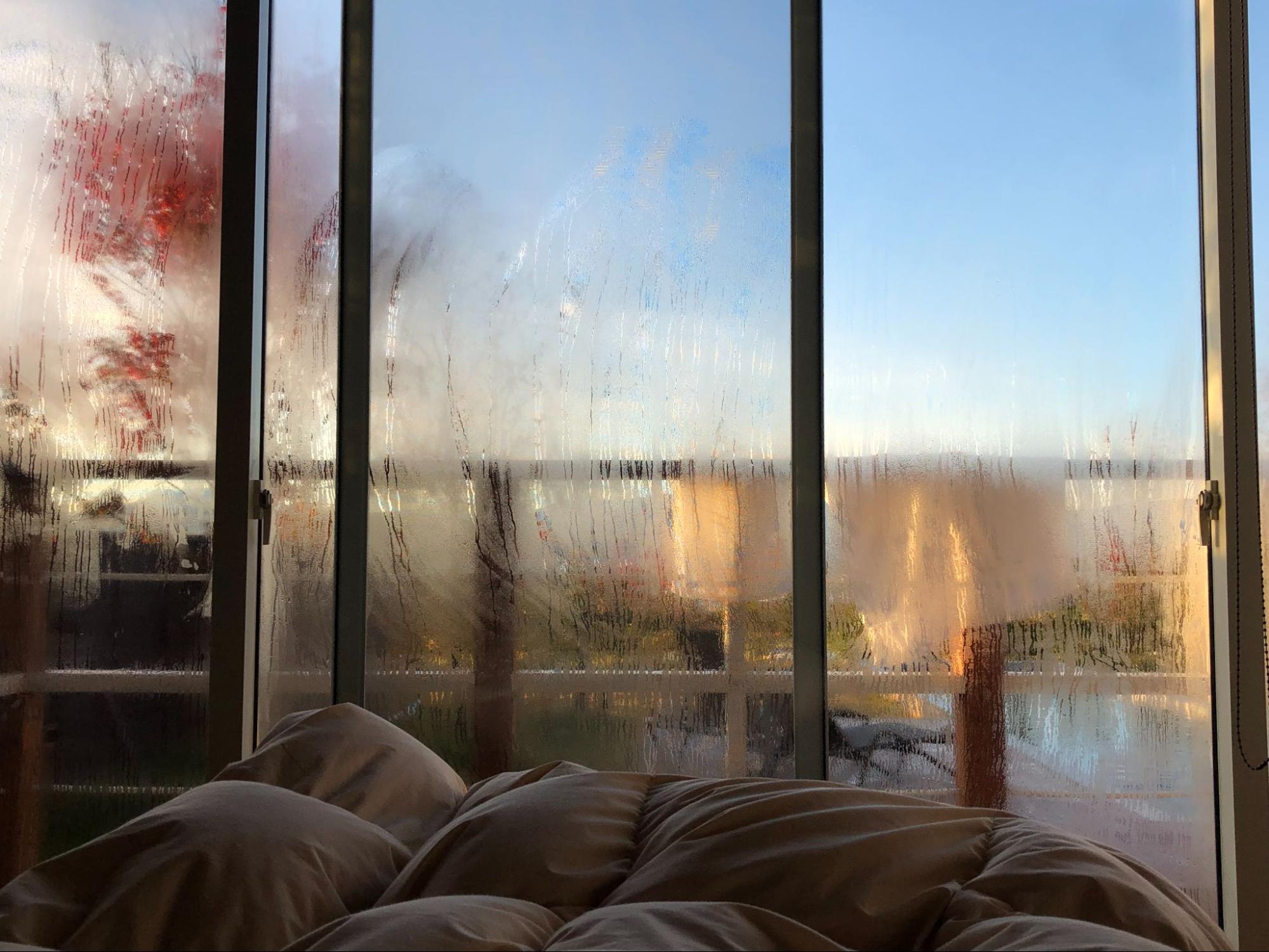 How To Stop Condensation On Windows in Winter